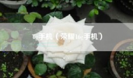6g手机（荣耀16g手机）