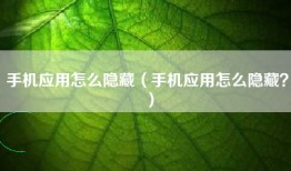 手机应用怎么隐藏(手机应用怎么隐藏?)