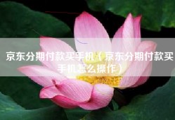 京东分期付款买手机（京东分期付款买手机怎么操作）