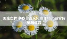 国家奥体中心非遗文化嘉年华，融合传统与体育