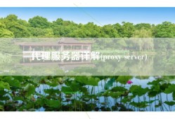 代理服务器详解(proxy server)