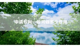 申请专利一般需要多少费用