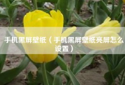 手机黑屏壁纸（手机黑屏壁纸亮屏怎么设置）