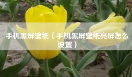 手机黑屏壁纸（手机黑屏壁纸亮屏怎么设置）