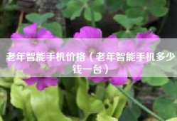 老年智能手机价格（老年智能手机多少钱一台）