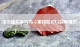 花呗能买手机吗（用花呗可以买手机不）