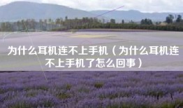 为什么耳机连不上手机（为什么耳机连不上手机了怎么回事）