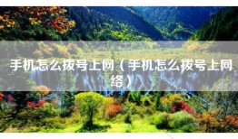 手机怎么拨号上网（手机怎么拨号上网络）