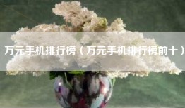 万元手机排行榜（万元手机排行榜前十）