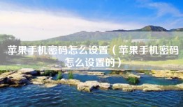 苹果手机密码怎么设置（苹果手机密码怎么设置的）