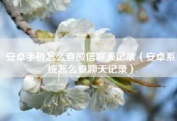 安卓手机怎么查微信聊天记录（安卓系统怎么查聊天记录）