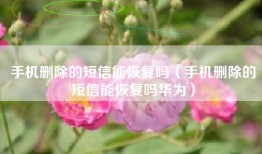 手机删除的短信能恢复吗(手机删除的短信能恢复吗华为)