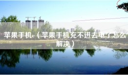 苹果手机c（苹果手机充不进去电了怎么解决）