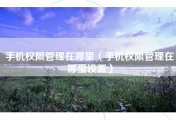 手机权限管理在哪里（手机权限管理在哪里设置）