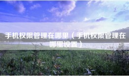 手机权限管理在哪里（手机权限管理在哪里设置）
