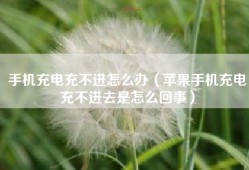 手机充电充不进怎么办（苹果手机充电充不进去是怎么回事）