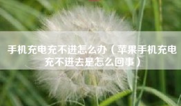 手机充电充不进怎么办（苹果手机充电充不进去是怎么回事）