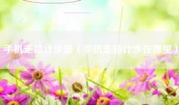 手机走路计步器（手机走路计步在哪里）