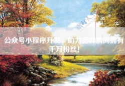 公众号小程序开发，助力品牌瞬间拥有千万粉丝！