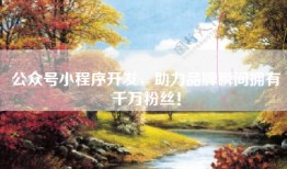 公众号小程序开发，助力品牌瞬间拥有千万粉丝！