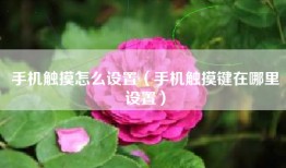 手机触摸怎么设置（手机触摸键在哪里设置）