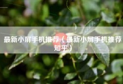 最新小屏手机推荐（最新小屏手机推荐知乎）