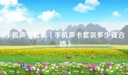 手机声卡套装(手机声卡套装多少钱合适)
