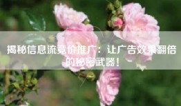揭秘信息流竞价推广：让广告效果翻倍的秘密武器！