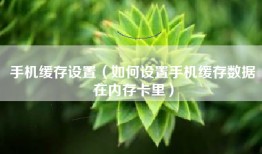 手机缓存设置（如何设置手机缓存数据在内存卡里）