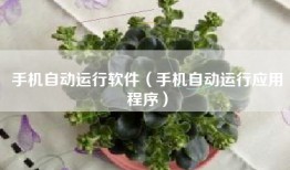 手机自动运行软件（手机自动运行应用程序）