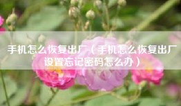 手机怎么恢复出厂（手机怎么恢复出厂设置忘记密码怎么办）