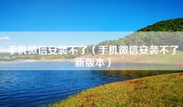 手机微信安装不了（手机微信安装不了新版本）