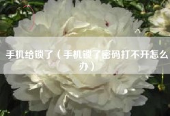 手机给锁了（手机锁了密码打不开怎么办）