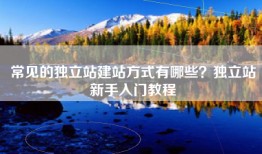 常见的独立站建站方式有哪些？独立站新手入门教程