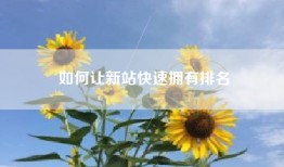 如何让新站快速拥有排名
