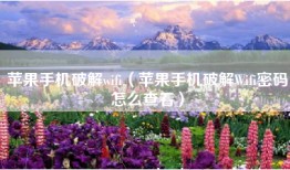 苹果手机破解wifi（苹果手机破解Wifi密码怎么查看）