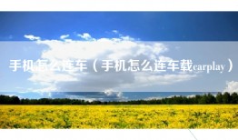 手机怎么连车（手机怎么连车载carplay）