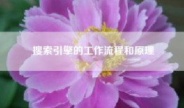搜索引擎的工作流程和原理