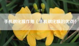 手机钢化膜作用（手机钢化膜的优点）