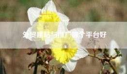 外贸建站与推广哪个平台好