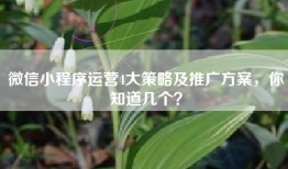微信小程序运营4大策略及推广方案，你知道几个？