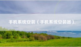 手机系统安装（手机系统安装器）