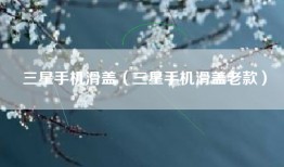 三星手机滑盖（三星手机滑盖老款）