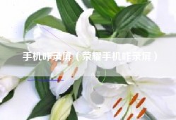 手机咋录屏（荣耀手机咋录屏）