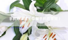 手机咋录屏（荣耀手机咋录屏）