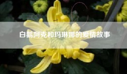 白鹳阿克和玛琳娜的爱情故事