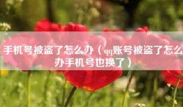 手机号被盗了怎么办(qq账号被盗了怎么办手机号也换了)