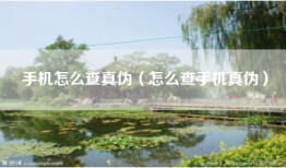 手机怎么查真伪（怎么查手机真伪）