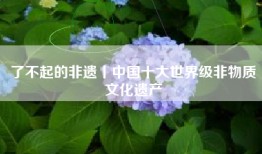 了不起的非遗丨中国十大世界级非物质文化遗产