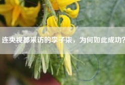 连央视都采访的李子柒，为何如此成功？
